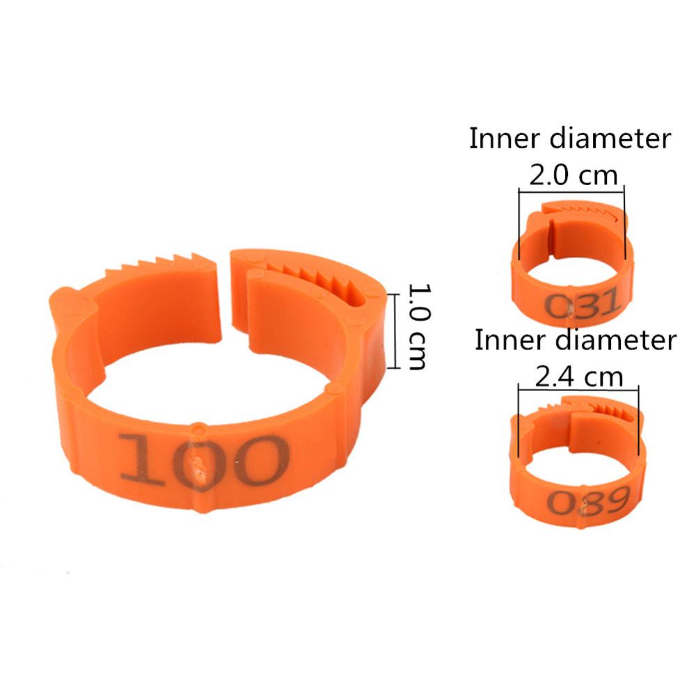 100Pcs/Kleur Verstelbare Kip Voet Ringen Binnendiameter Size 2 ~ 2.4Cm Kip Gevogelte Flexibele Intrekbare Voet ringen 6 Kleuren