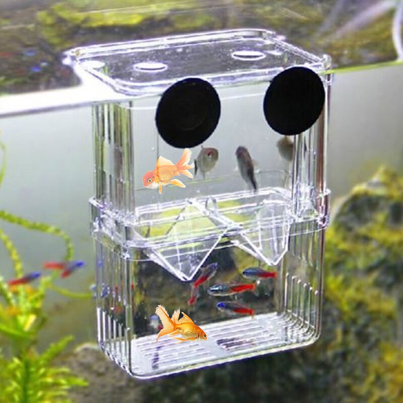Acrylic Fish Breeding Isolation Box Fish Tank Aquarium Breeder Box Double Guppies Hatching Incubator Aquarium Pet Supplies