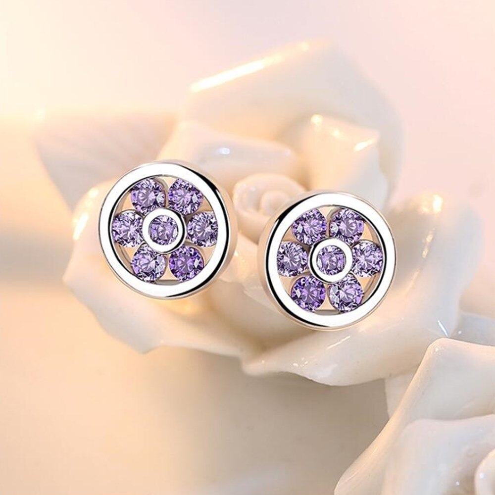 NEHZY 925 sterling silver Jewelry Stud Earrings Double Round Purple Cubic Zirconia Silver Earrings: 1024