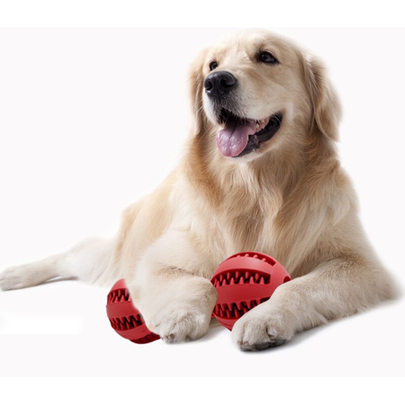 Extra Tough Rubber Hond Speelgoed Halter Vorm Pet Sofa Speelgoed Grappige Interactieve Hond Kauwen Speelgoed Voor Hond Tand schoon Bal Van Voedsel
