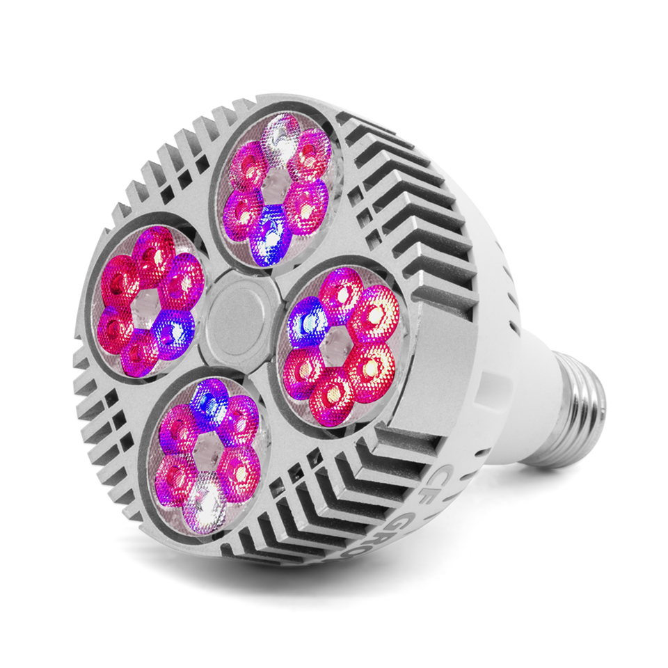 Par LED Wachsen Glühbirne E27 GEFÜHRTE Anlage Lampe mit Fan Sunlike Gesamte Spektrum Wachsen Lichter für Innen Pflanzen Gemüse und Sämling: Par120-rot-Blau