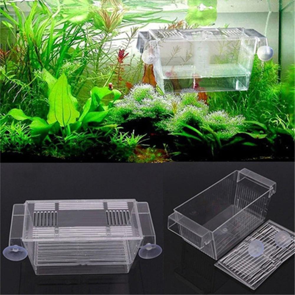 Image showcasing Aquarium Fish Tank Guppy Double Breeding Breeder R... – Vicedeal
