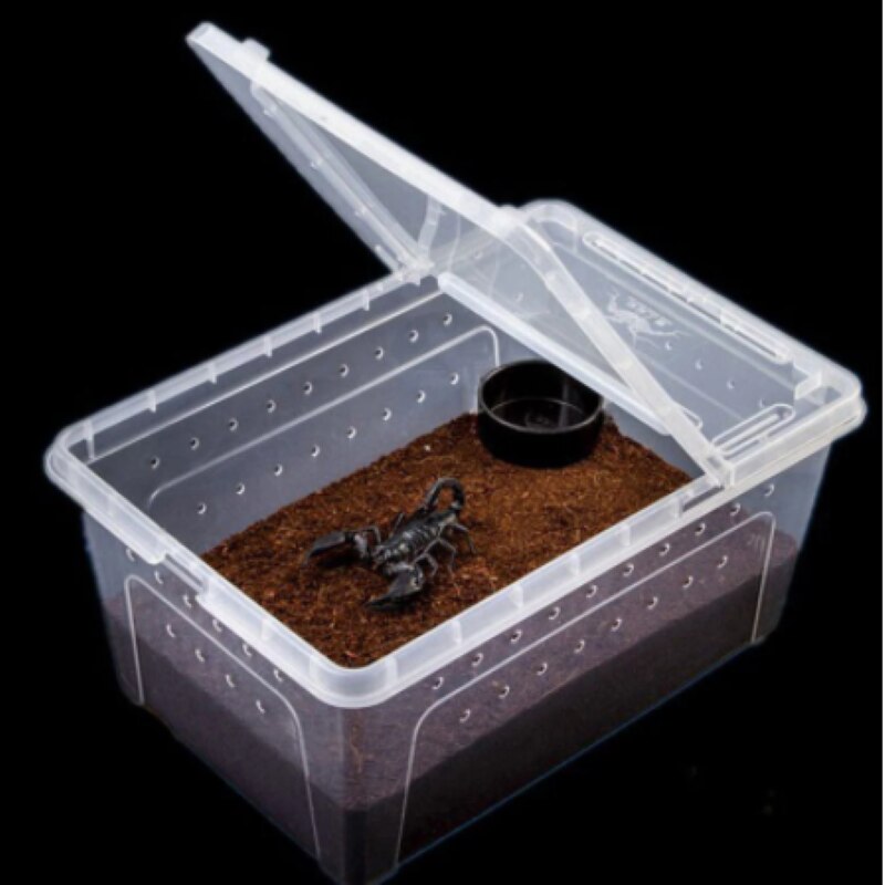 1pc Transparent Plastic Box Insect Reptile Transpo... – Vicedeal