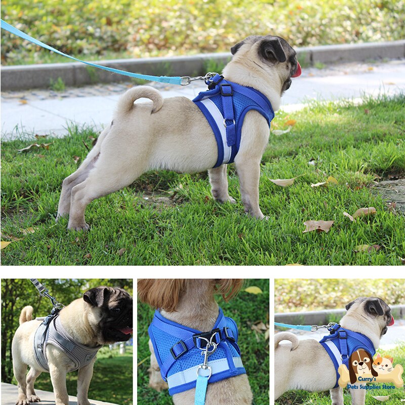 Pets Supplies Puppy Chihuahua Accessories Vest for Small Dog Harness Straps+Leash Lanyard Belt Set Walking Tractor Cheap Product