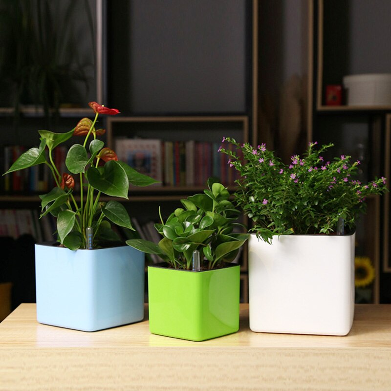 Waterniveau Indicator Gauge Display Watertekort Herinnering Voor Alle Huis Planten Bloemen Kruiden Vetplanten Indoor Potplanten
