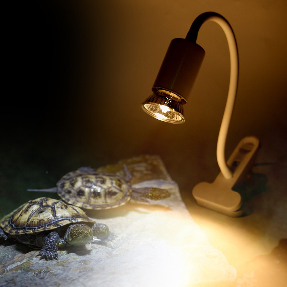 CN 220V Reptile Pet Sun Light UVA UVB Lamp Clip Lights For Turtle Lizard Habitat Tank Tortoise Tank Light Tortoise Tank Light
