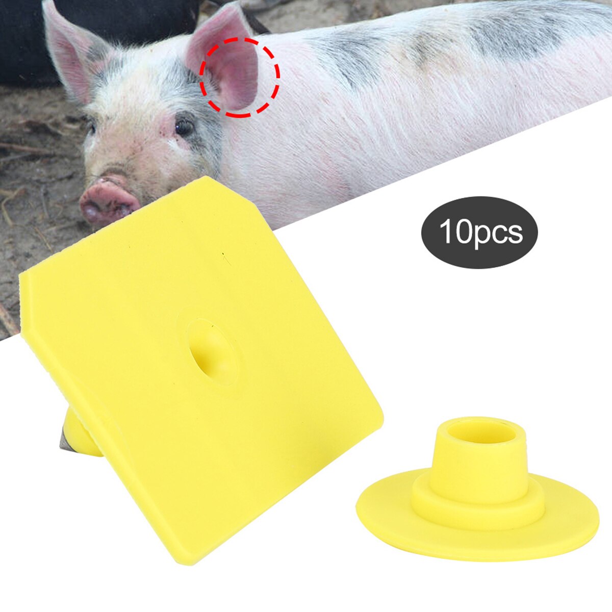 10PCS Pig Ear Tags Livestock Blank Ear Tags Farm Animals Management Identification Tags Farm Tools