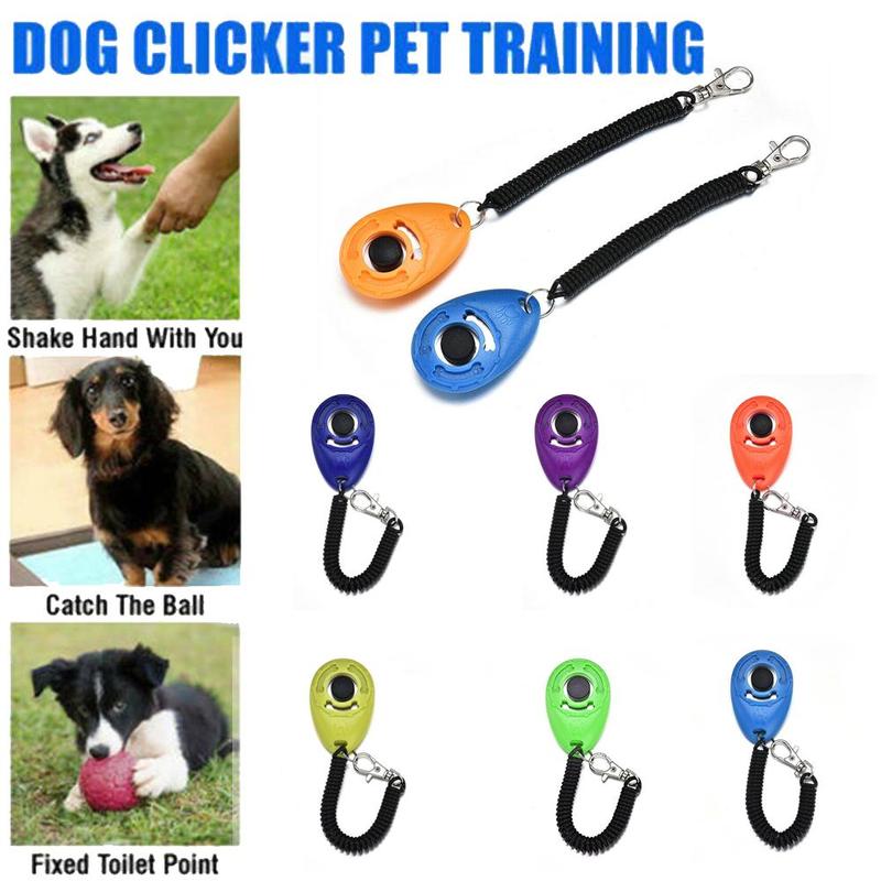 1 Pc animal de compagnie chat chien formation Clicker plastique nouveaux chiens trop sangle poignet aide sifflet clé son formateur clic chaîne outil chien Adjus I1U1