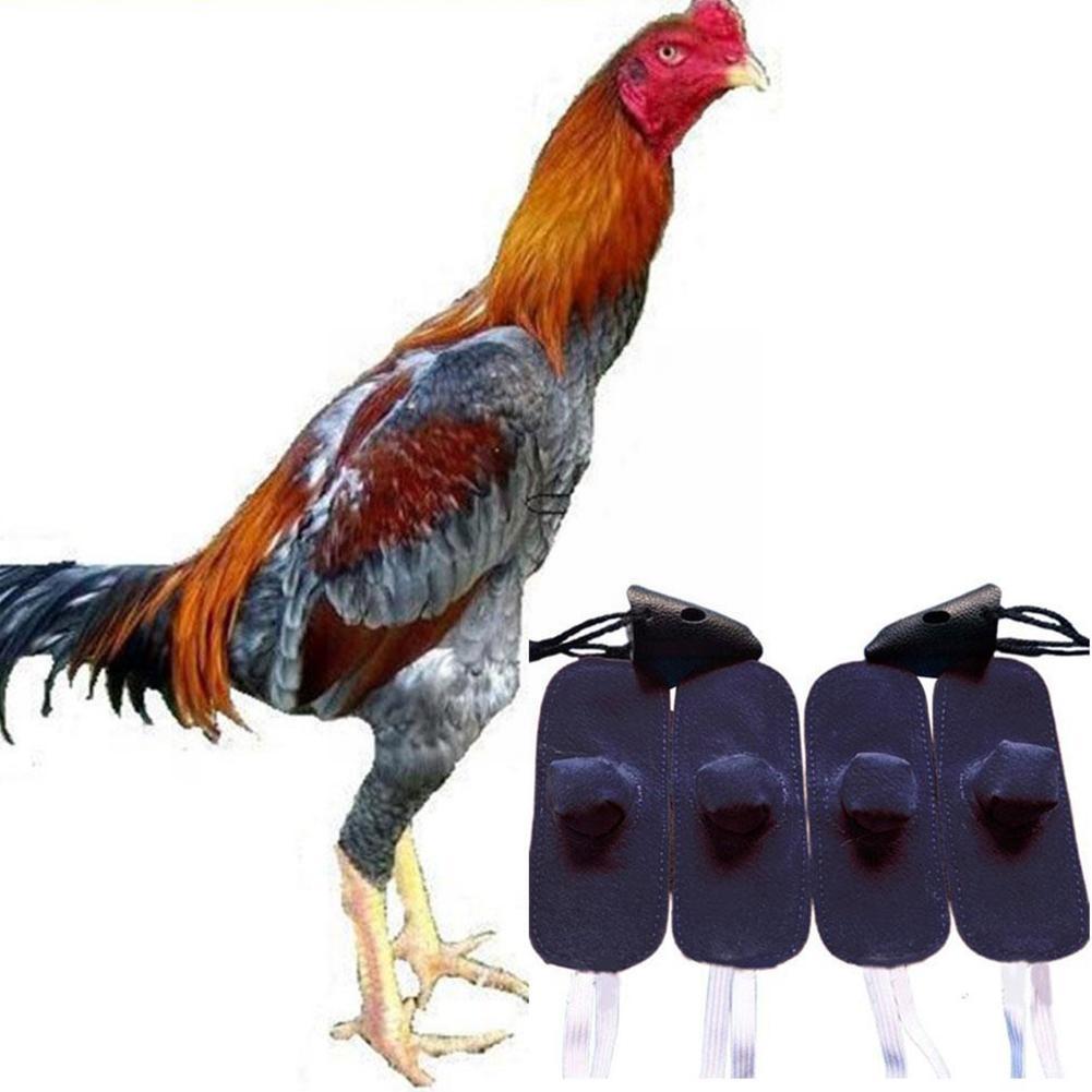 Gants en cuir pour coq, 4 paires, pour combat en toute sécurité pour la lutte, coq rouge, coq, coq, coq B6k9