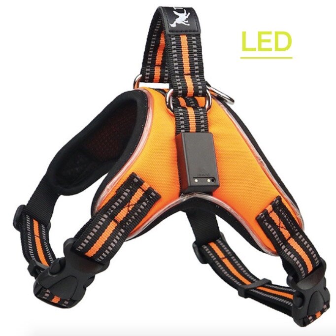 Oplaadbare Led Harness Voor Huisdieren Hond Tailup Nylon Led Knipperlicht Harnas Hond Kraag Huisdier Veiligheid Leash Riem Hond Accessoires: Orange / M