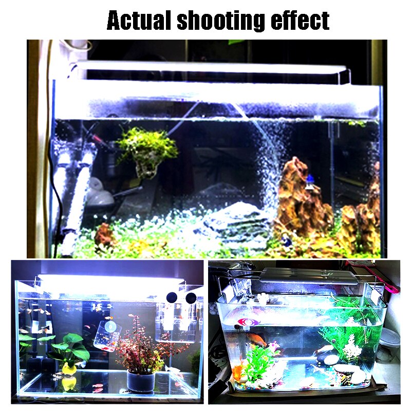 Aquarium Water Aquarium 20-60Cm Water Tank Led Verlichting, wit En Blauw Licht Ultra-Dunne Telescopische Vis Tank Beugel Lichten