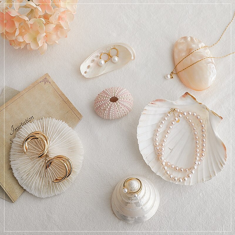 Shell decoration photography accessories photography Retro Props Birthday Party decorations props