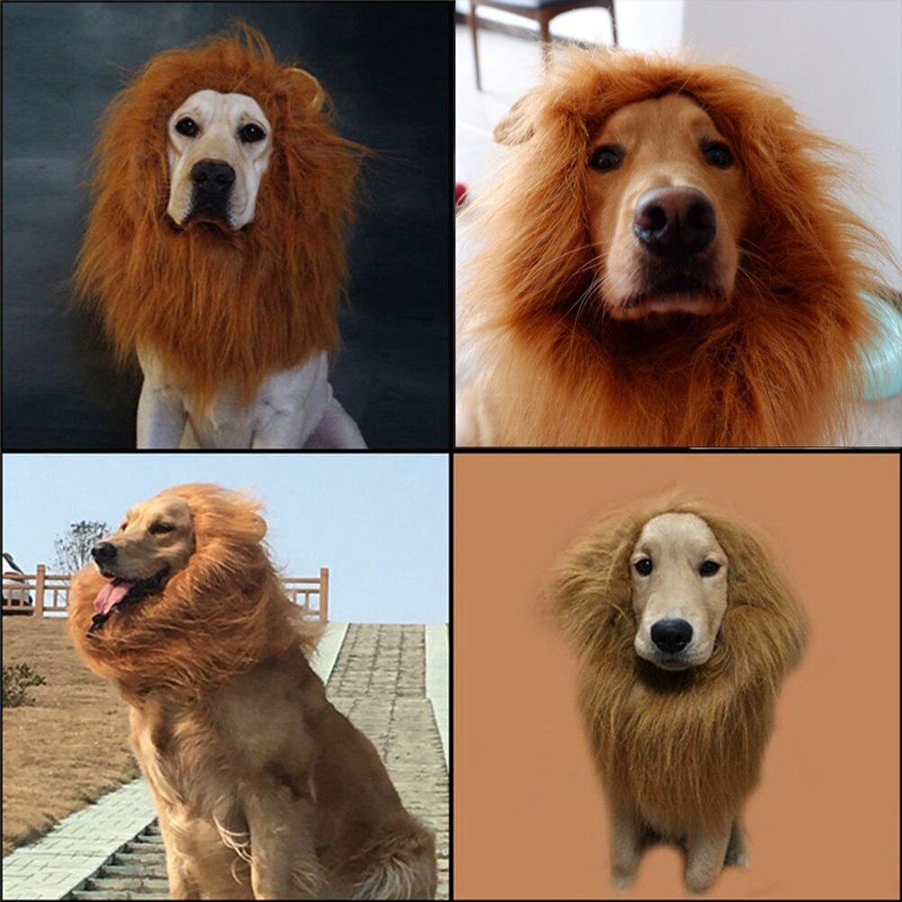 Lion perruques crinière cheveux grand chien chat Lion perruques Festival drôle chapeau déguisement vêtements Costume Lion crinière perruque mignon chapeau