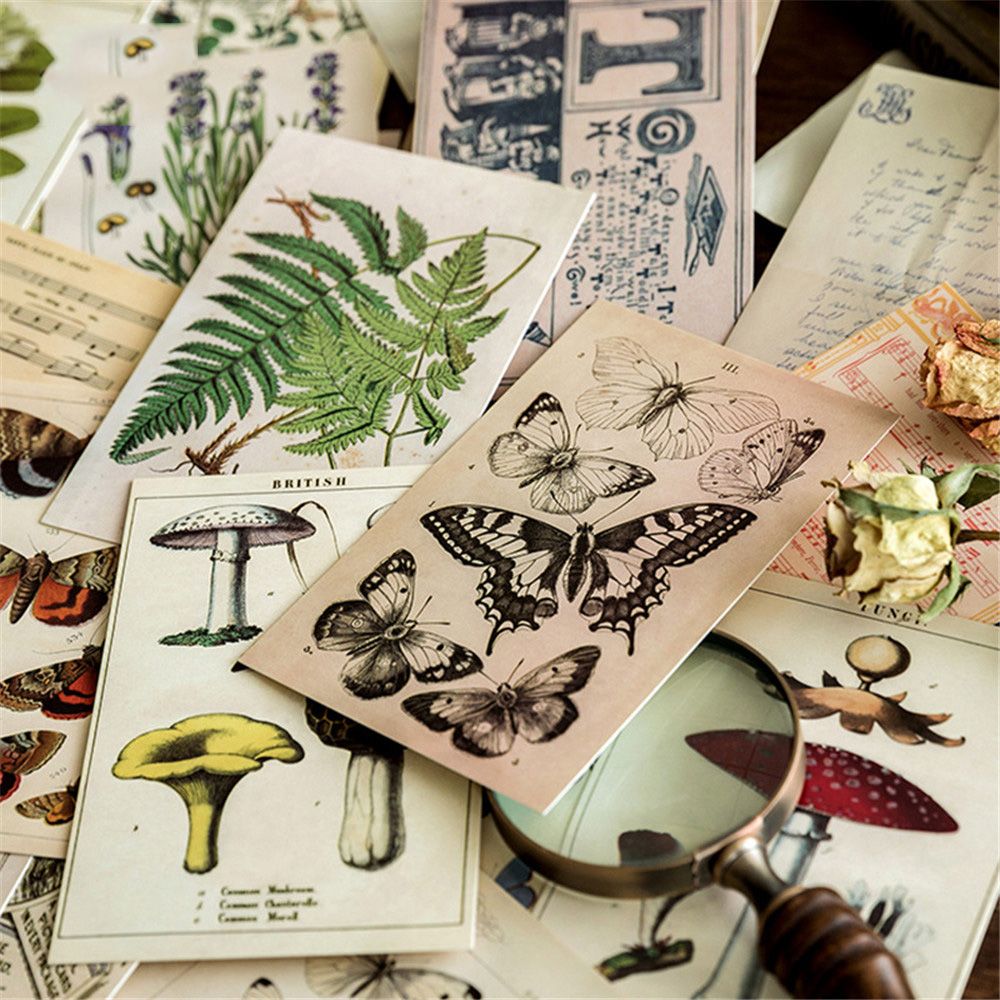 30 st/pack vykort skog djur växt lomo kort vintage brev skrivpapper mini vykort födelsedagsfest gratulationskort