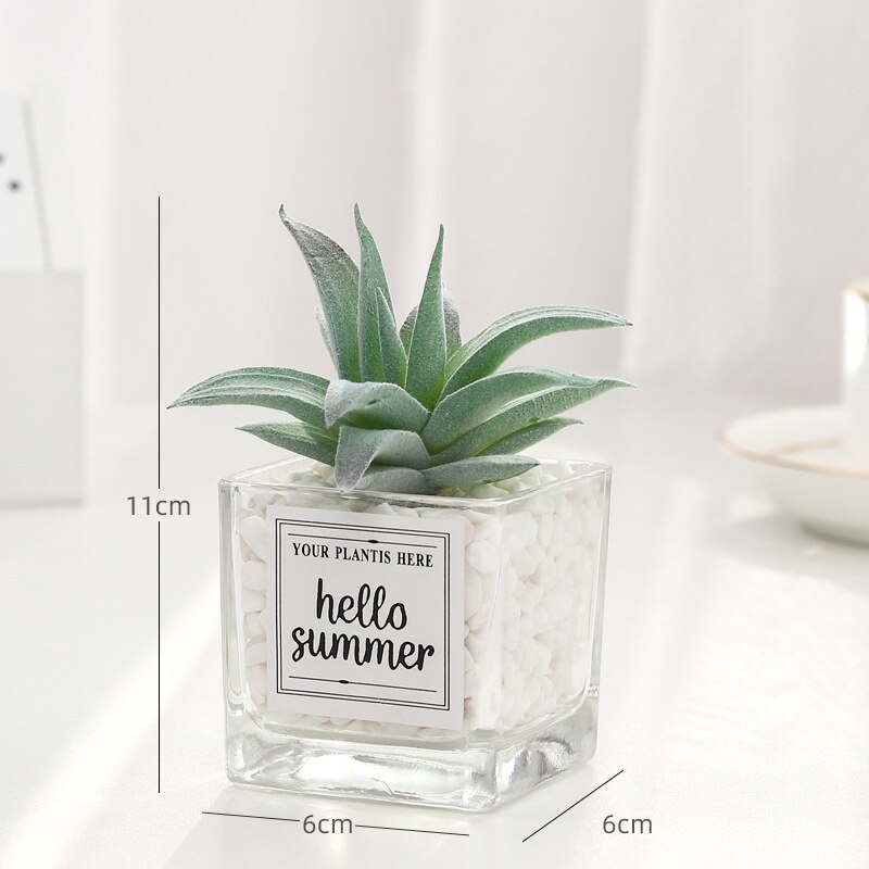 Planta de simulación nórdica, Mini planta suculenta en maceta, péndulo , botella de vidrio de piedra verde, planta decorativa de escritorio en maceta: B