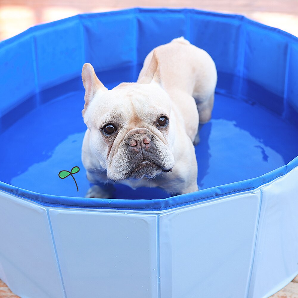Hund kæledyr bad pool strand badekar udendørs indendørs sammenklappelig swimmingpool badekar vask kar foldbart og bærbart til hunde katte børn