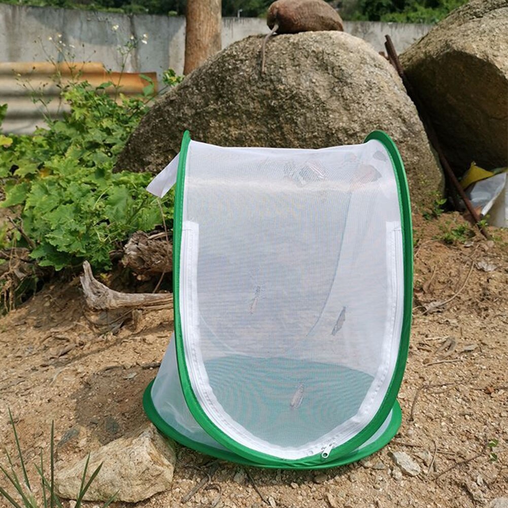 Pop-Up insecten- en vlinderkooi met folievenster