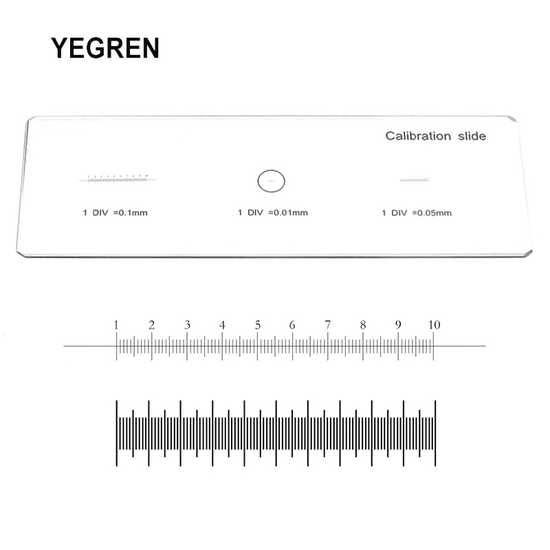 Microscope Slides Scale Ruler Scale Ruler 0.1 0.05 0.01 mm Stage Micrometer Cali... – Grandado