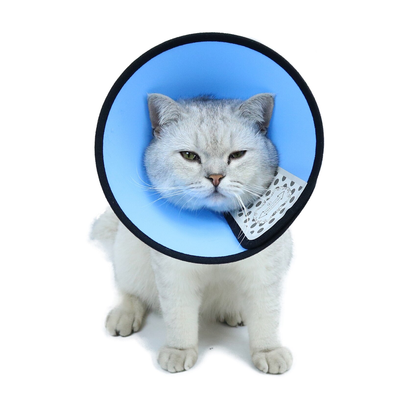 Dog Cat Recovery Collars Elizabethan Collar Wound Healing Collar Cone for Small Medium Large Dogs Anti-Bite Protection Collar