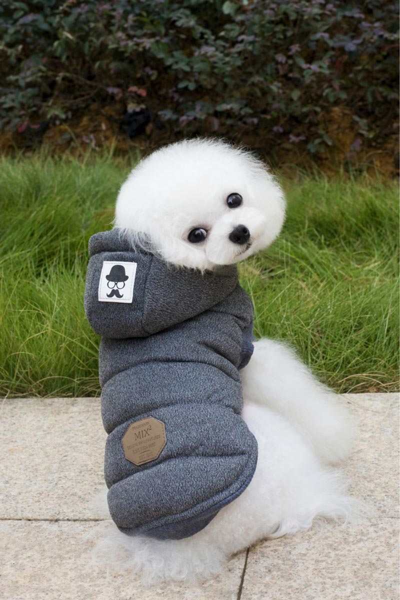Hiver chien vêtements manteau Moustache veste salopette pour petits chiens moyens chat doux sweats à capuche extérieur Costume vêtements