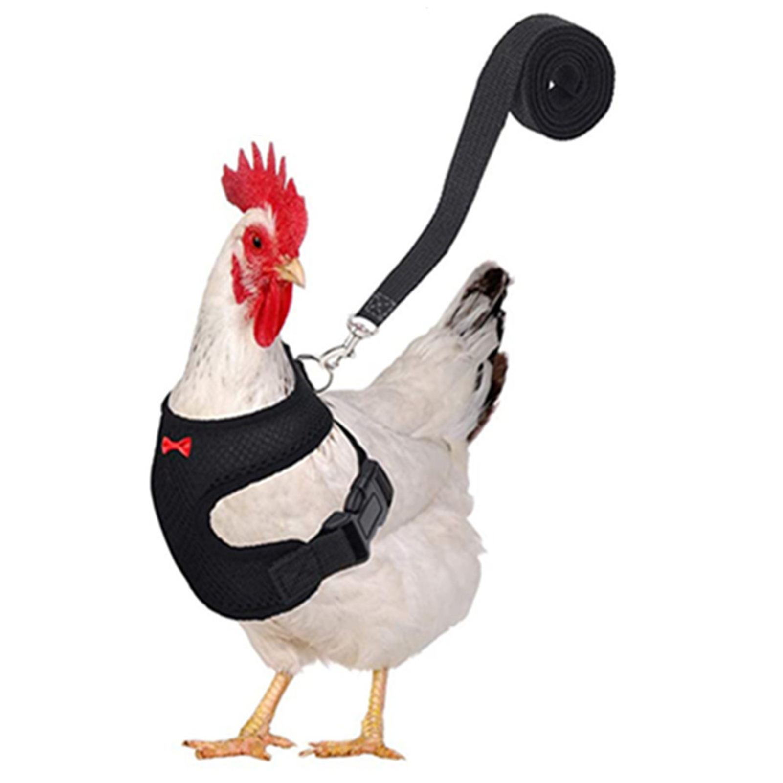 Harnais de poulet réglable, taille de poule avec laisse assortie, gilet élastique et confortable, respirant pour poulet canard chien chat: Black S