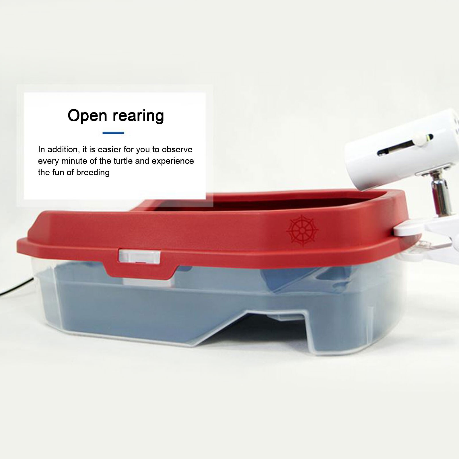 Turtle Tank Aquarium Tank Cleaner Dropper Filter Layer Villa Pet Bed Easy To Change Water Large Amphibious Tank Pet Lover