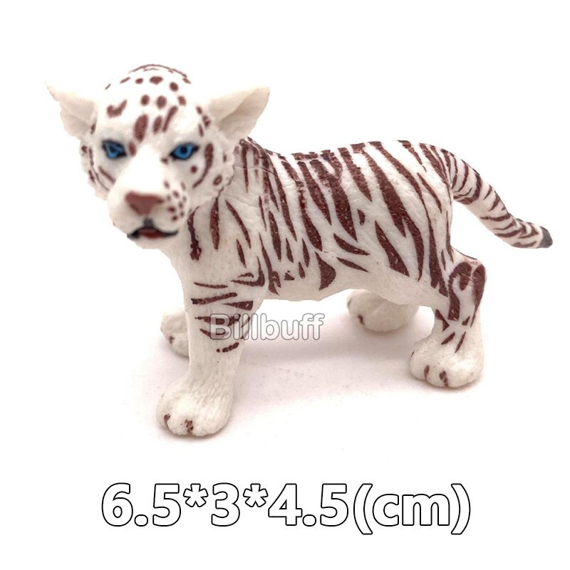 Simulation Wilden Ebene Weiß Tiger Tigerin Männlichen Tiger Modell Aktion-figuren Figuren Sammlung FrüHenne Bildung Spielzeug für freundlicher: Tiger Zahlen k