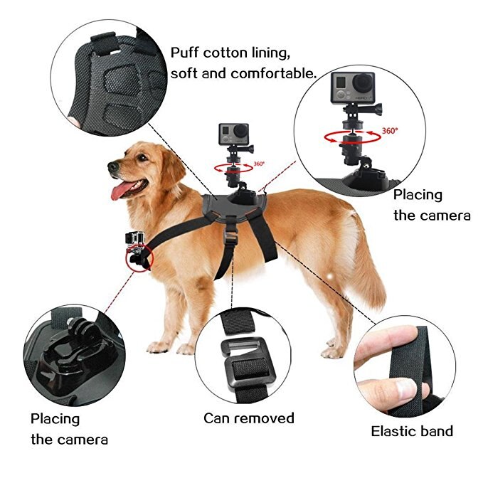 Go Pro Fetch Hond Mount Hond Harness Borstband Mount voor Gopro Hero 5 4 sessie 3 + 3 SJ5000 hond borstband Camera Accessoires