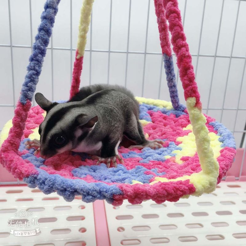 Klimtouw hangmat schommel voor kleine dieren hangend huis bed rat fretten