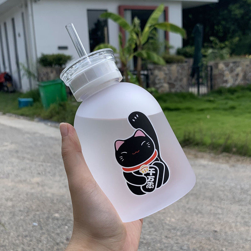 500ml chat chanceux bouteille en plastique sans BPA dessin animé Transparent/givré bouteilles d'eau étanche Drinkware mignon étudiant tasse