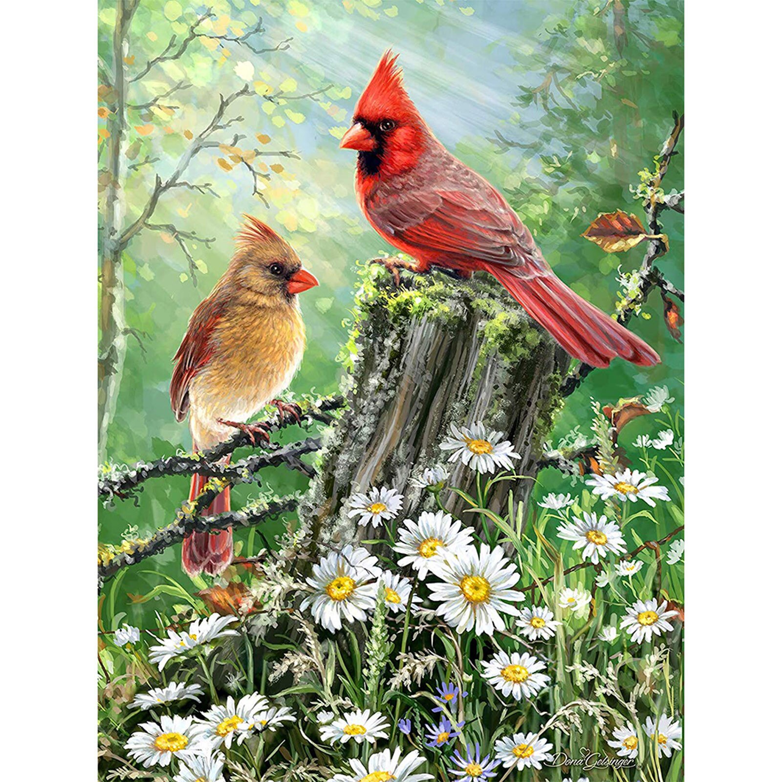 Diamant Schilderij Cartoon Diy 5d Vogels Natuurlijke Landschap Diamants Borduurwerk Mozaïek Kruissteek Handwerken Kinderen Home Decor D7