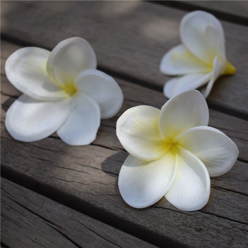 Black Plumerias Natural Real Touch frangipani Flower heads for cake Toppers, Wedding Decorations Artificial Flowers Head flowers: white