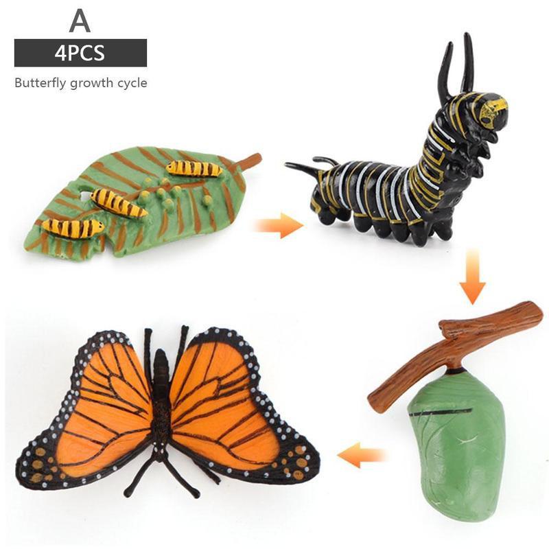 Simulatie Insect Bee Groei Cyclus Model Beeldjes Kikkers Zee Groei Mier Set Mosquito Model Cyclus Cijfers Kip Speelgoed T G5N: A