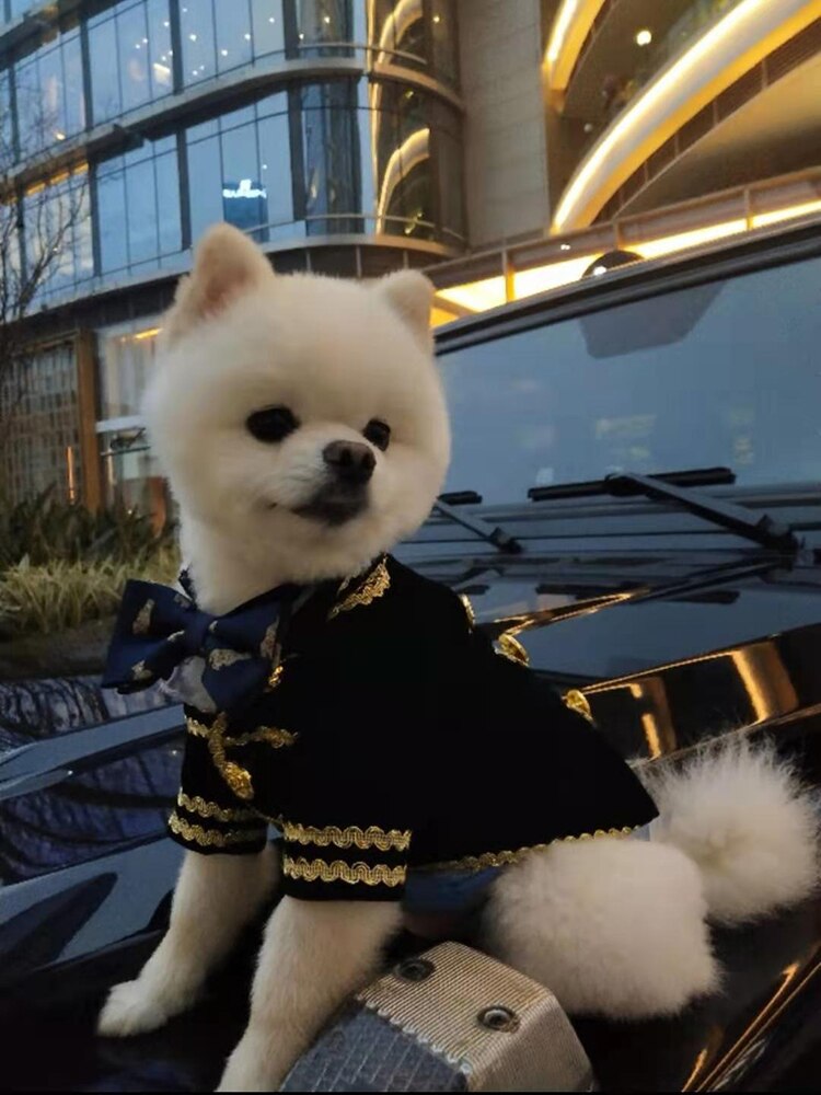 Boy Dog Clothes Wedding Suit Formal Dress Male Dog Clothing Coat Tuxedo Puppy Outfit Cat Yorkshire Pomeranian Poodle Clothing