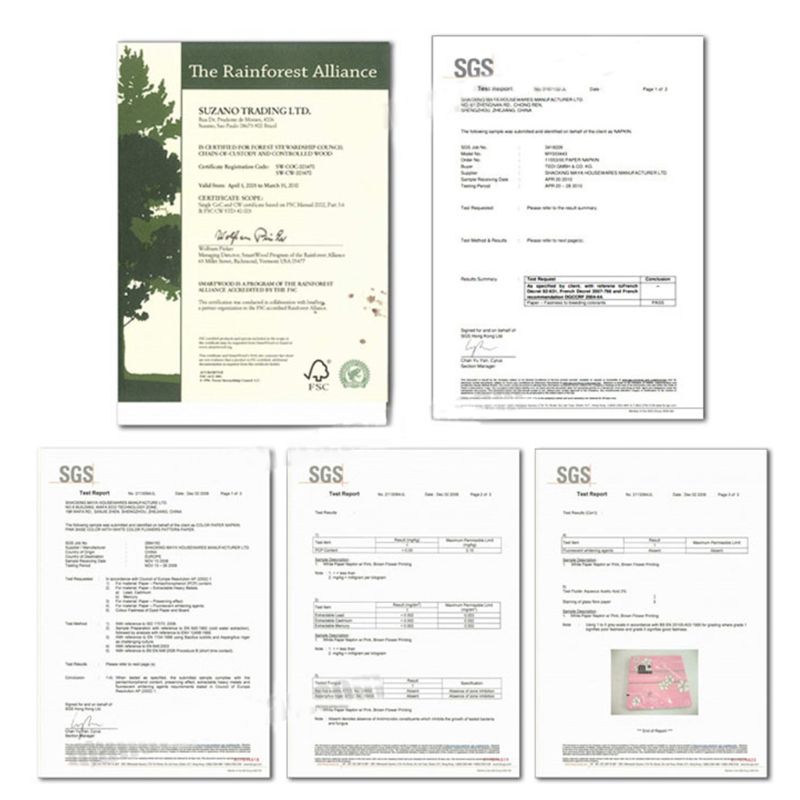 Śmieszne papier toaletowy z masy celulozowej 2-warstwy bezzapachowe rolki uchwyt, tkanki, nadrukowany wzór robić domu robić kąpieli korzystania w kuchni