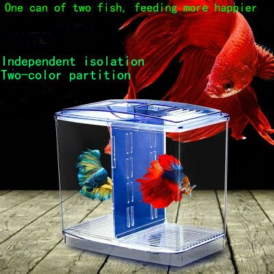 hting fish box small fighting fish tank mini creek isolation double box fish box desktop ornamental fish breeding breeding hatch