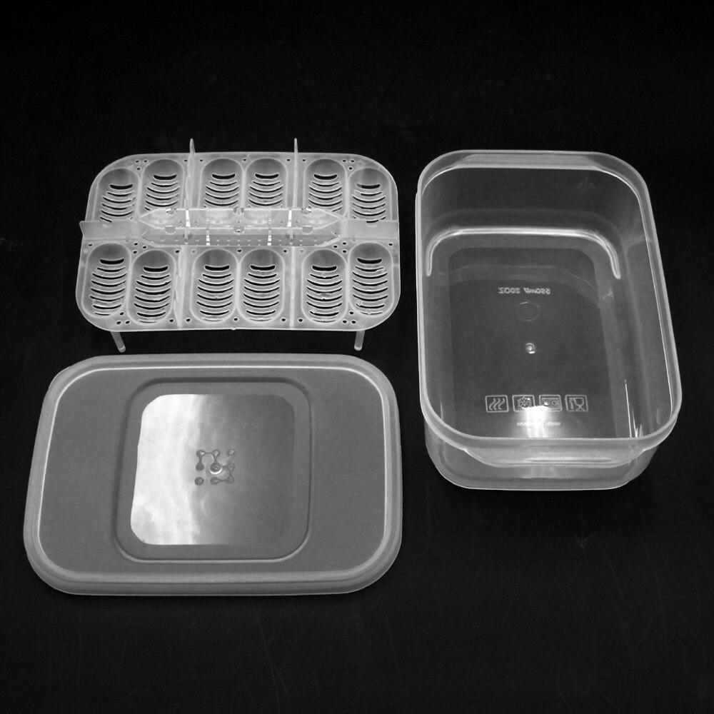 Bandeja de Reptiles para huevos, caja de Reptiles, caja de crianza de Reptiles, caja de incubación para Reptiles apta para incubar Reptiles lagartos de serpiente