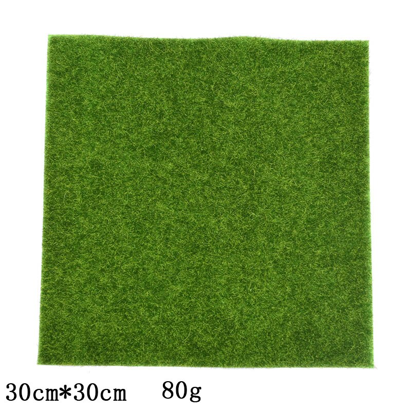 40g kunstige planter evigt liv mos mini have mikro landskab tilbehør boligindretning væg diy blomster materiale: Cg130-30