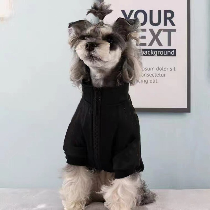 123... Hund Dabei! - Carne Di Bufalo - Carne Di Manzo Per Cani - Carne