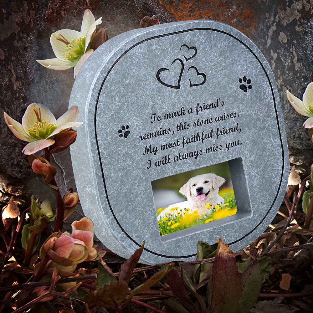 Ueetek mindesten til kæledyr med fotoramme grav til hunde katte – Grandado