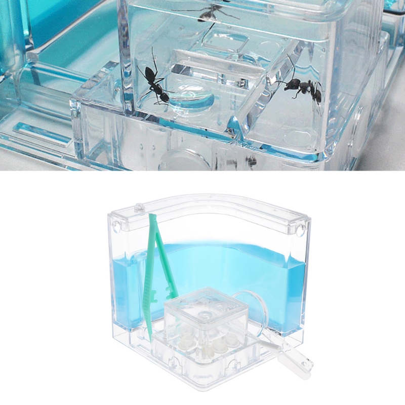 E9LA-laberinto de Gel 3D para granja de hormigas, sistema educativo de alimentación en vivo para guardería, novedad, Habitat,