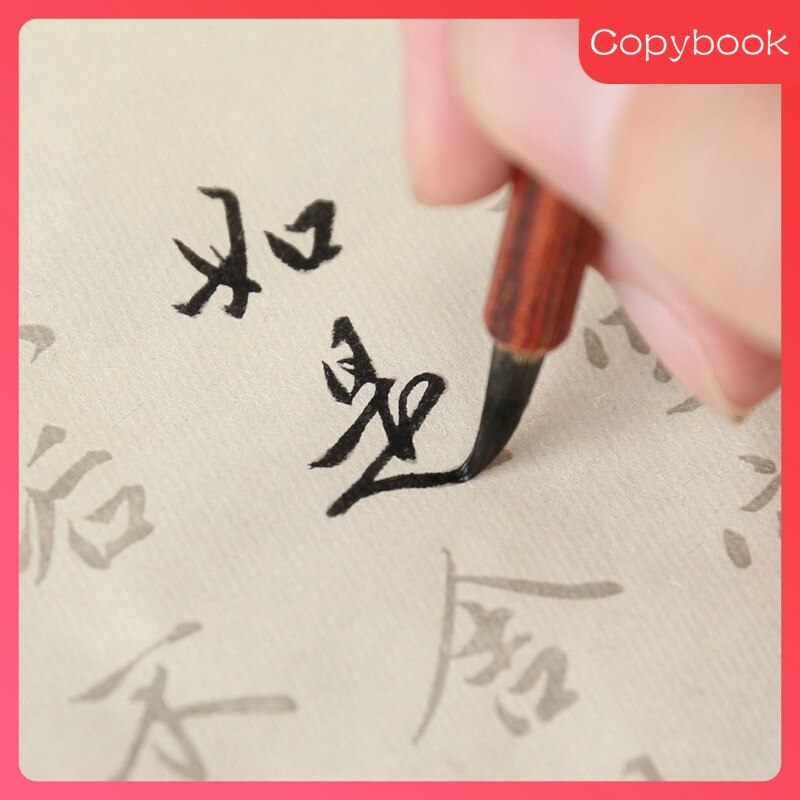 Adult Regular Script Calligraphi Copybook 30pcs Brush Calligraphie Copybook Beginner Chinese Calligraphy Practice Poem Copybook