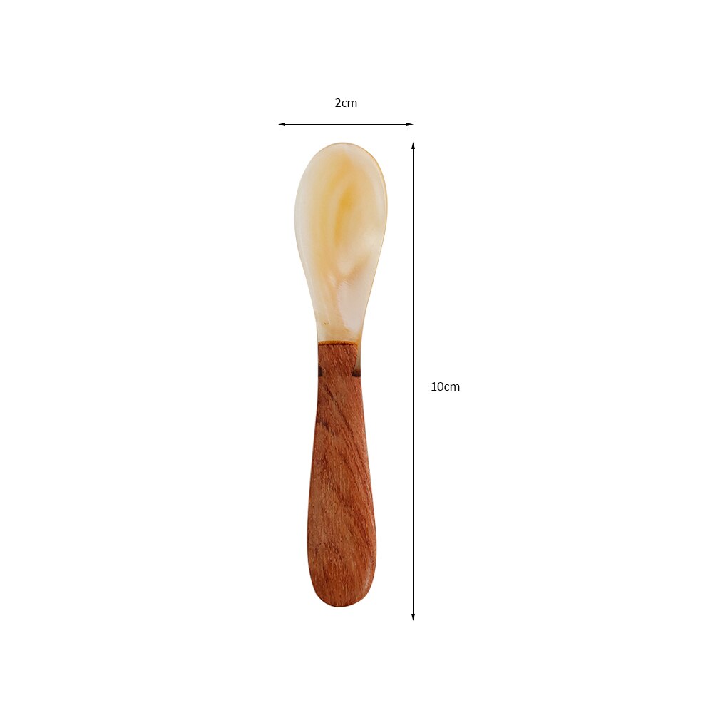 Natural Shell Spoon Deep Sea Shell Spoon Tableware Home Spoon Seasoning Box Spoon Brown Tablespoon: 02-A-1