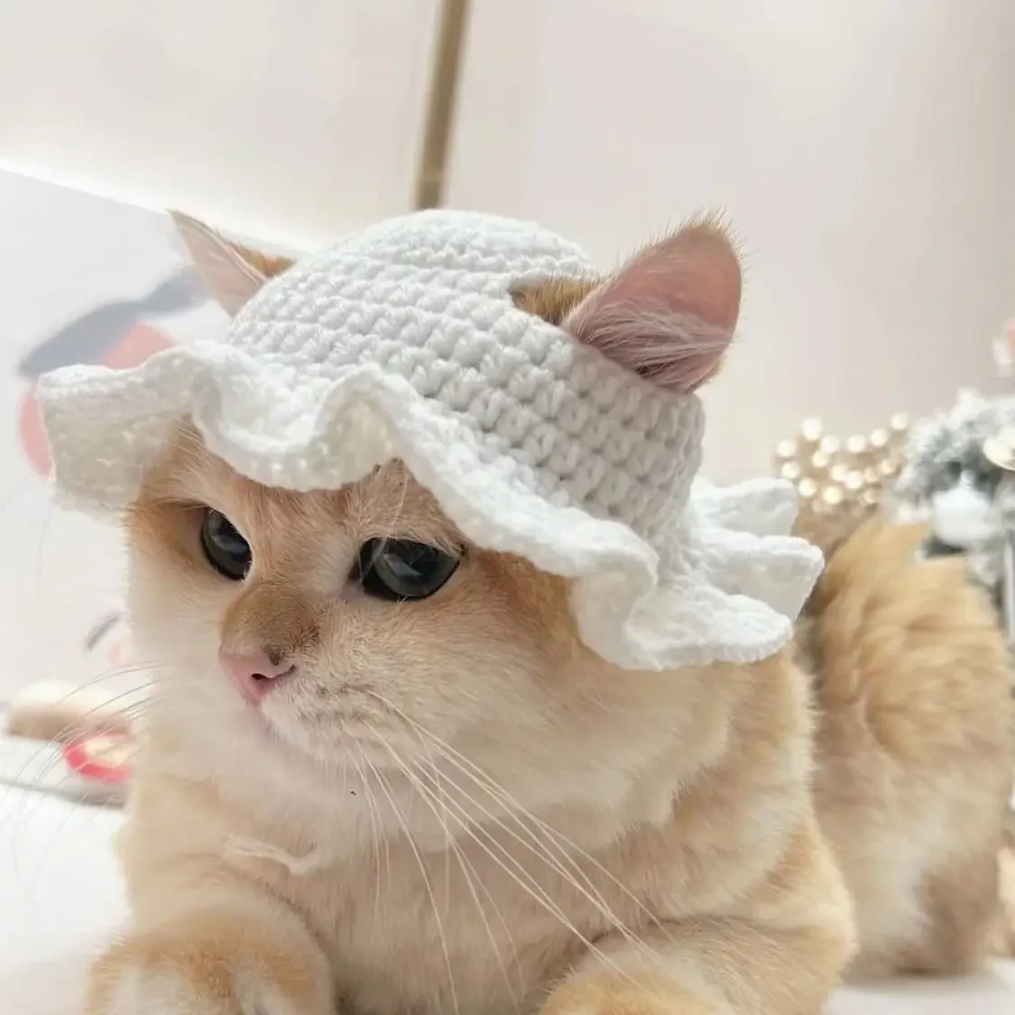 Gorro de punto elástico para gato, accesorio refinado para mascota, cachorro, gatitos, , sesión de fotos, decoración, Otoño e Invierno: Rosa