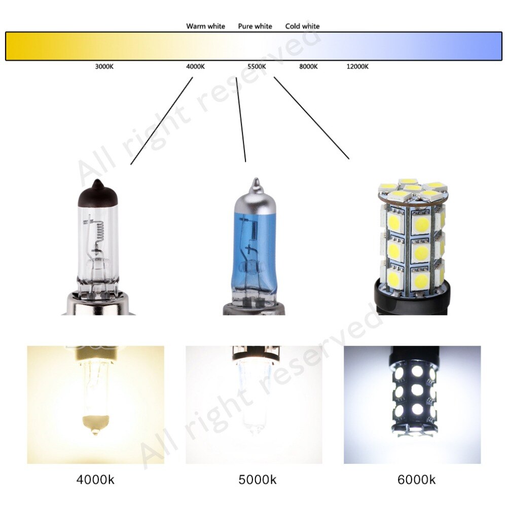 Super Heldere Halogeenlampen H1 H3 H4 H7 H11 9005 HB3 9006 HB4 55W 100W 12V 5000K Auto Koplamp Mistlichten Rijden Lamp Wit