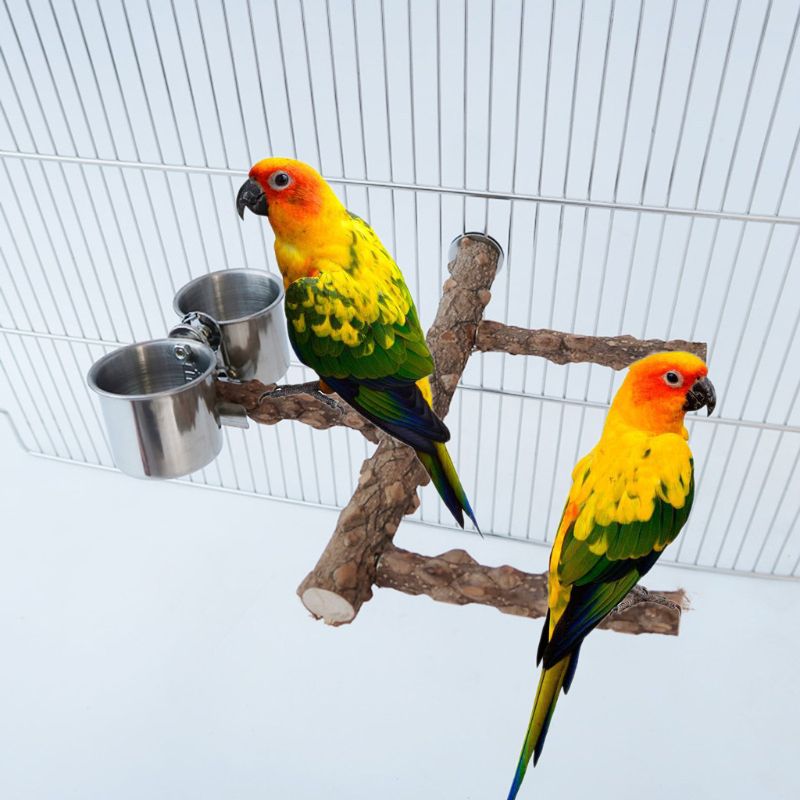 Percha de loro de madera natural espinoso soporte para pájaros taza de alimentación plataforma de palo de molienda