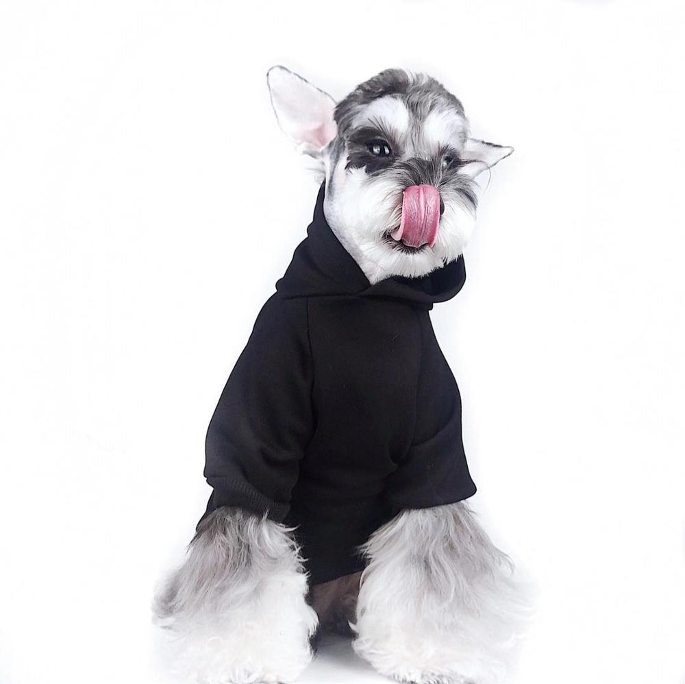 Sports stil hund hættetrøje jakke tøj kæledyr vinter varmt tøj til små mellemstore hunde chihuahua fransk bulldog mops aqc 33: Xl