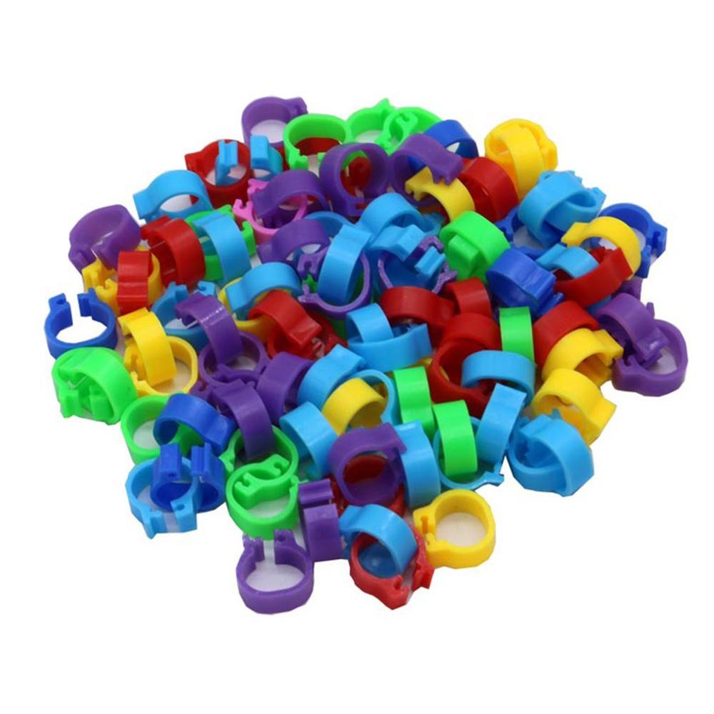 100pcs Color Pigeons Rings Hens Pigeon Foot Ring 8mm Bayonet Identification Ring Opening Pigeons Rings Pigeon Bird Appliances