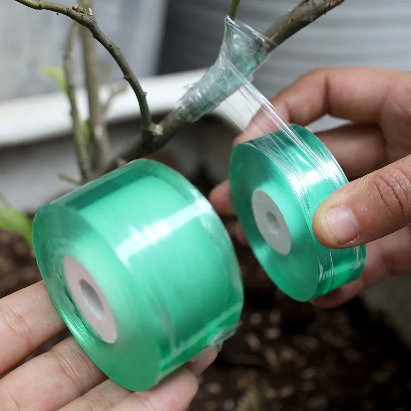 Cinta de injerto de PE de 100/500m, película autoadhesiva estirable, rollo de cinta para árboles de jardín, plantas, plántulas, vid, tomate, accesorios de injerto