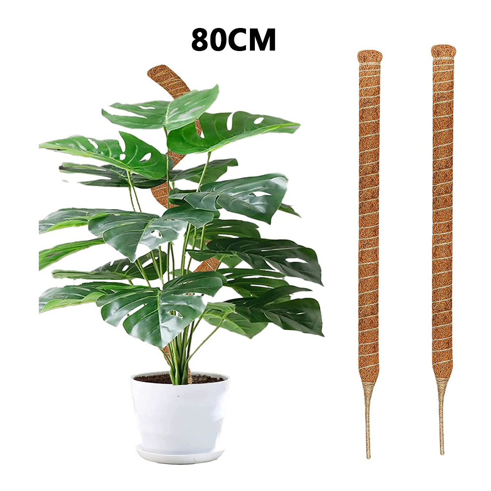 Postes de plantas flexibles DIY para plantas, palos Monstera, soporte para entrenar en interiores, para crecer hacia arriba, estacas hechas a mano para escalar: Grey